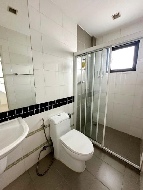 �������Ҥ�þҳԪ�� ������ ��ا෾