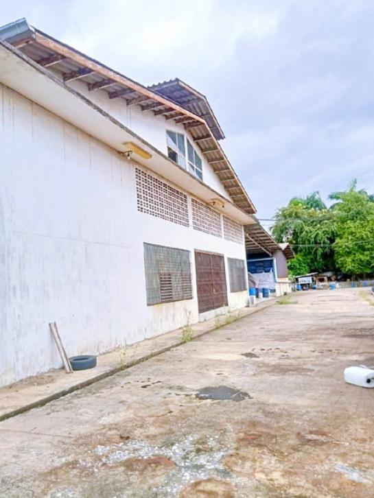 ��طû�ҡ�� �� nut.allentrepreneur