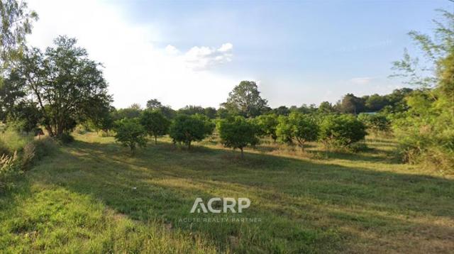 ���Թ������� ����Ҫ����