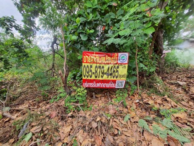 ��ا෾ �� Nattanaphat