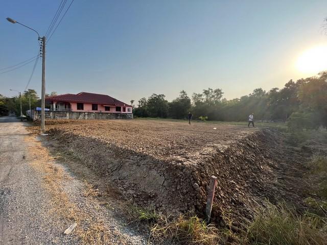 ˹ͧ�͡ �� kulchaya1