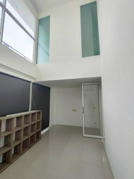 �Ҥ�þҳԪ�������� �ѹ�����