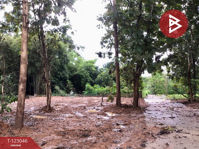 ���ͧ �� The Best Property Agent