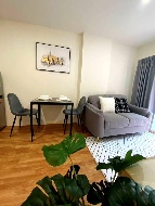 ��� �͹� �Ⱥ�Ź�ù������