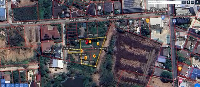 ���Թ�ҡ��� �������