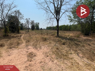 �͹�� �� The Best Property Agent