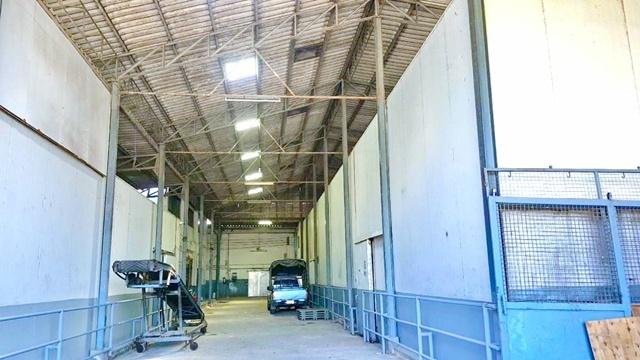 ⡴ѧ �������