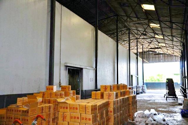 ⡴ѧ������ ���ͧ�����ҹջ����ҹ�