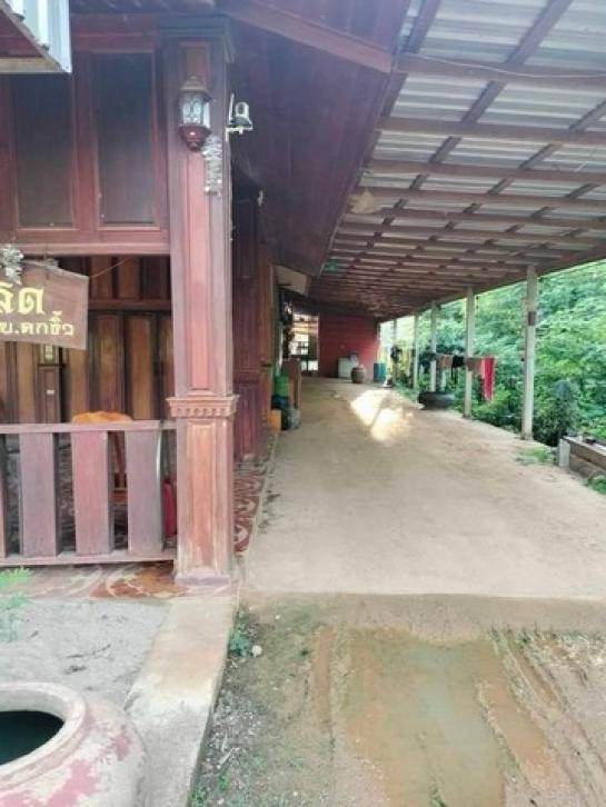 ���Թ ��� �ش���͹