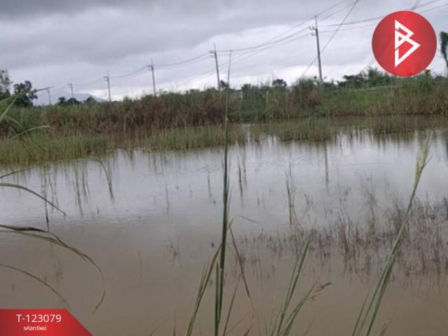 ��·��Թ �ԧ��§���