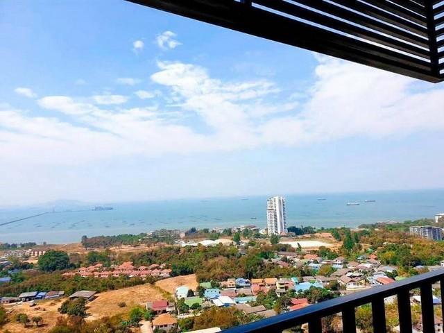����Ҫ� �� ataproperty22