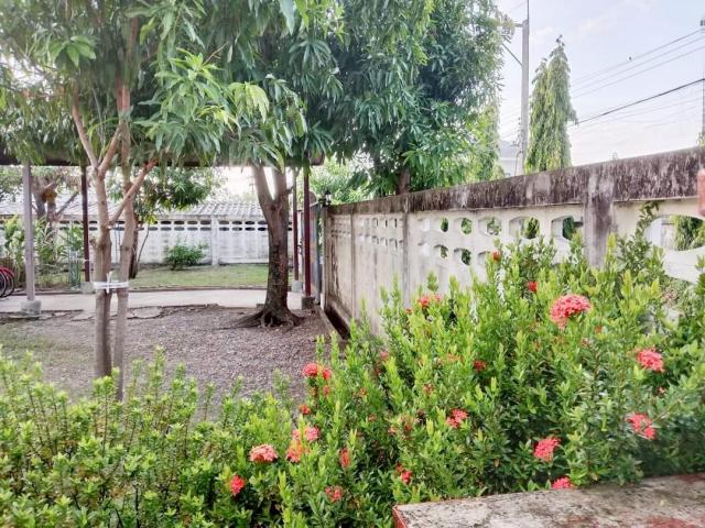 ��¤�ͧ����� �� AI-0917144987