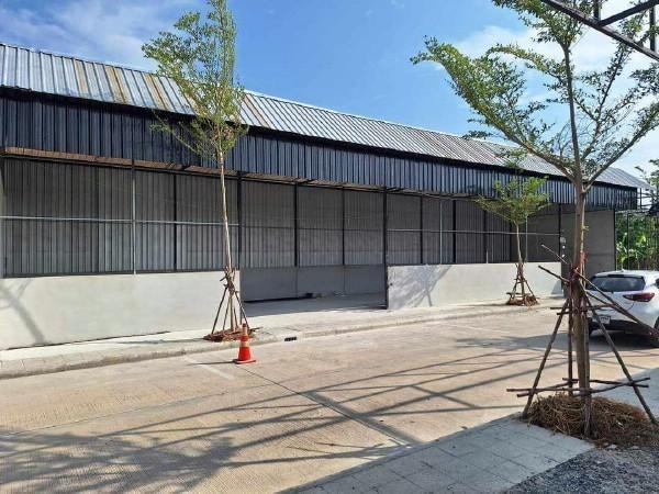 �չ���� �� coasset22