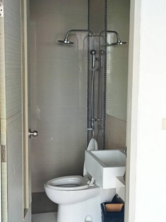 �Ҥ�þҳԪ�������� �ѹ�����