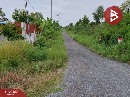 ���١�� �� The Best Property Agent