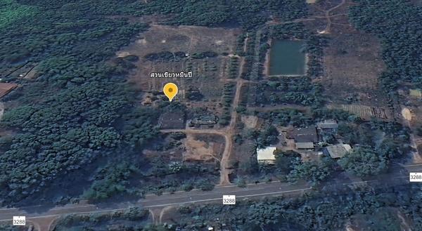 ��·��Թ �ҡ��չ�ù�¡