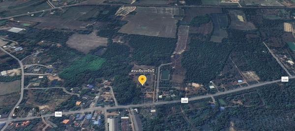 ��·��Թ �ҡ��չ�ù�¡