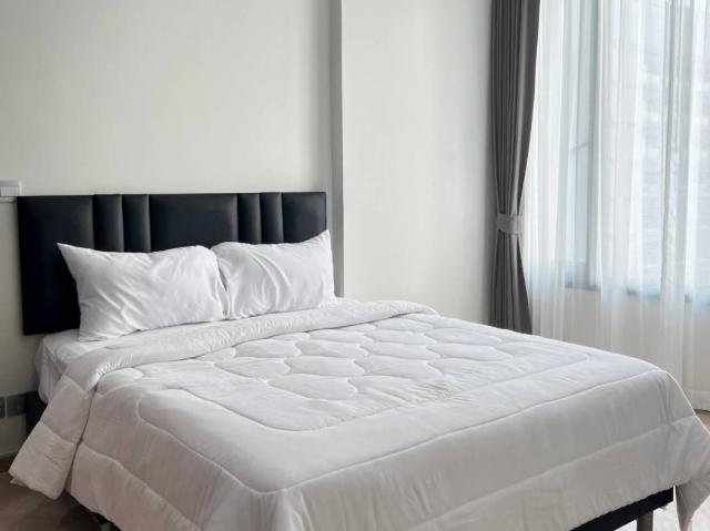 ��ا෾ �� The Vinvestor