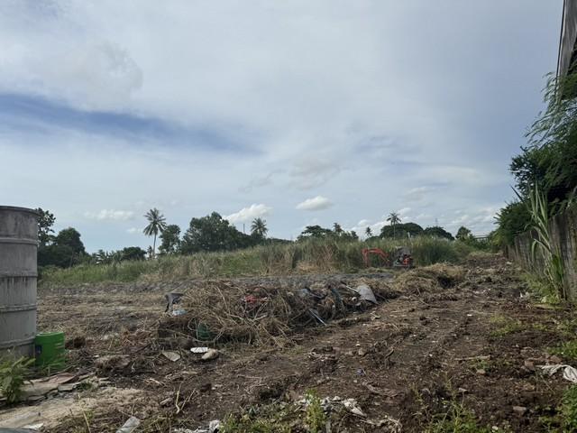 ��ا෾ �� sopa