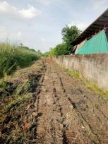 ��·��Թ �ҧ�