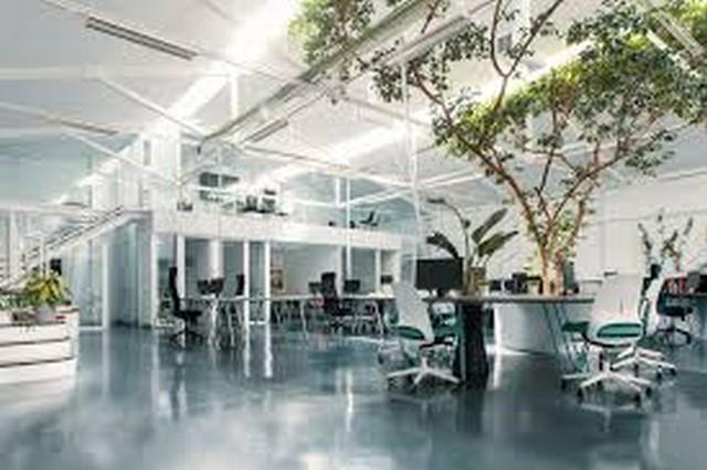 ขายสำนักงาน 100 ตารางวา ขายสำนักงาน 100 ตารางวา