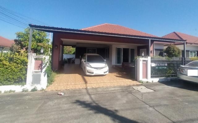 ����Ҫ���� �� panaya.opalopal