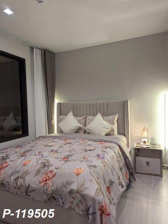 �͹ⴸ����� ��ا෾��ҹ��