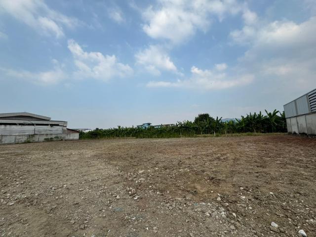 ���Թ������ �ҧ�͹