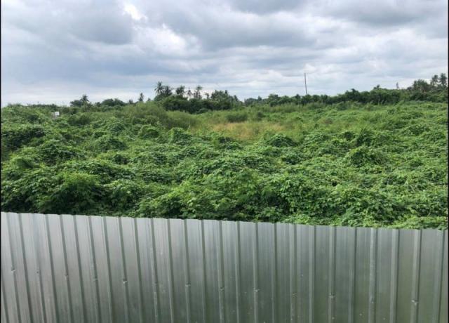 ���Թ������ ��觤�ء�ا෾