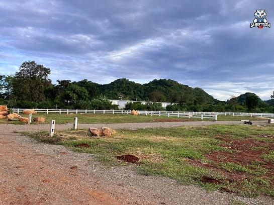 ���Թ �Դ��