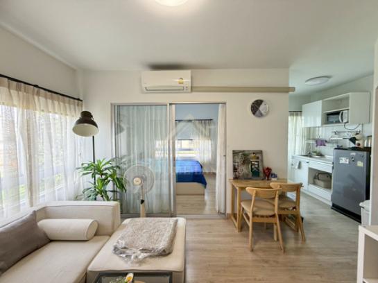 ��¤͹� �ҡ��紹������