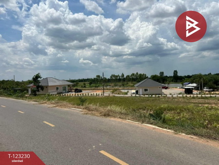 ��º�ҹ ���ͧ�͹�蹢͹��