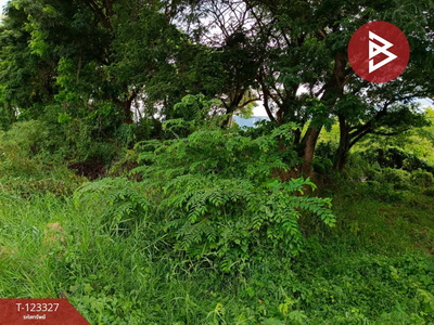 �Ӿٹ �� The Best Property Agent