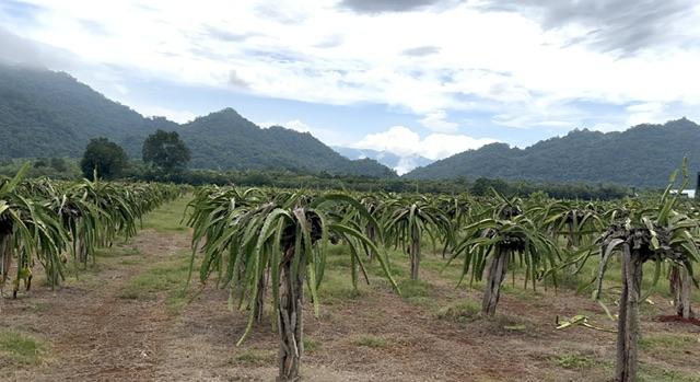 ���Թ 21 ���