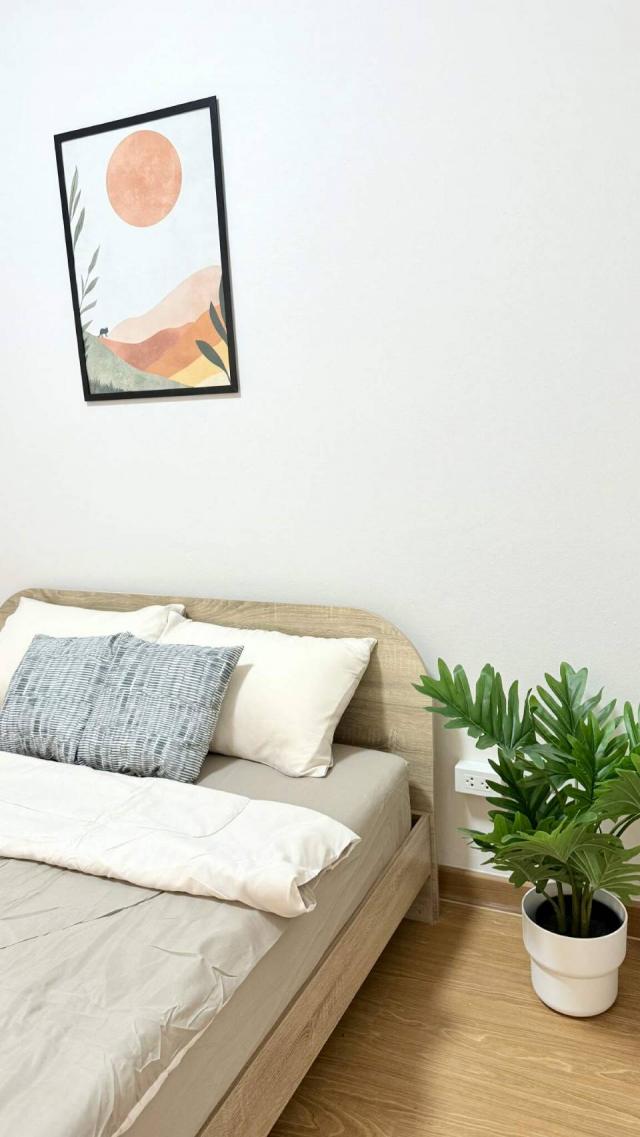 ��¤͹� ������