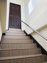 ��ǹ������� 20 ���ҧ��