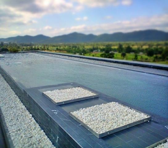 ��¤͹� ����Թ��ШǺ���բѹ��