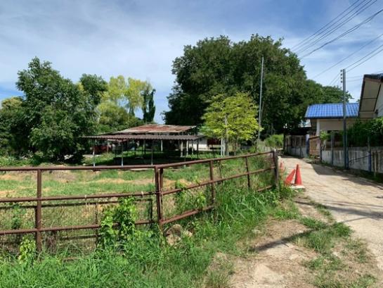 ����Ҫ���� �� Estate Corner