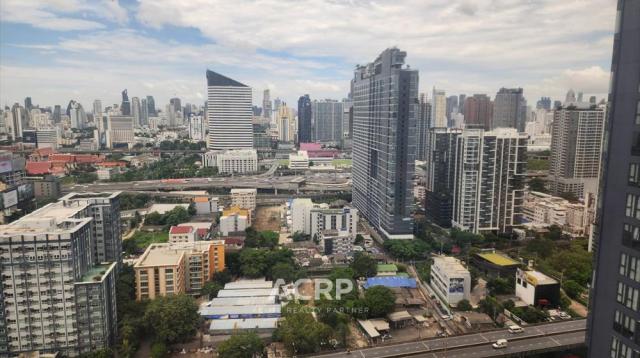 Acute Realty Partner