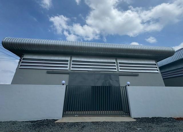 ˹ͧ�͡ �� naorinpl