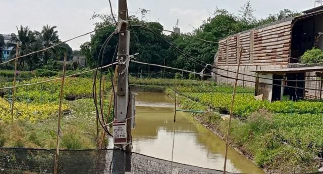 ·Õè´Ô¹ 1137 µÒÃÒ§ÇÒ ·Õè´Ô¹ 1137 µÒÃÒ§ÇÒ