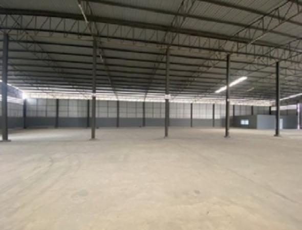 ⡴ѧ������ �ҧ��� ��طû�ҡ��