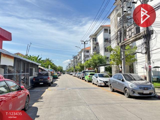 ��¤͹� ������