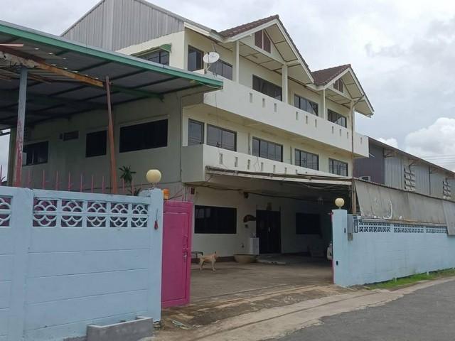 ���١�� �� coasset22