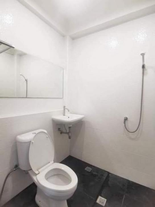 �Ҥ�þҳԪ�� 3 ��ͧ�͹ �ҧ����