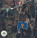 ���Թ�ǹ�ҧ����