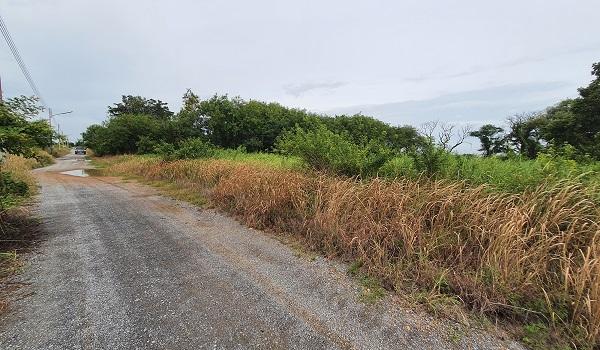 ���Թ 5 ���