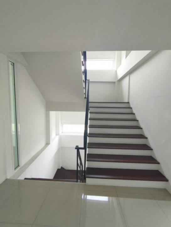 �Ҥ�þҳԪ�������� �ѹ�����