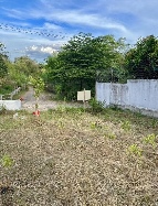 ��·��Թ ����Ҫ����