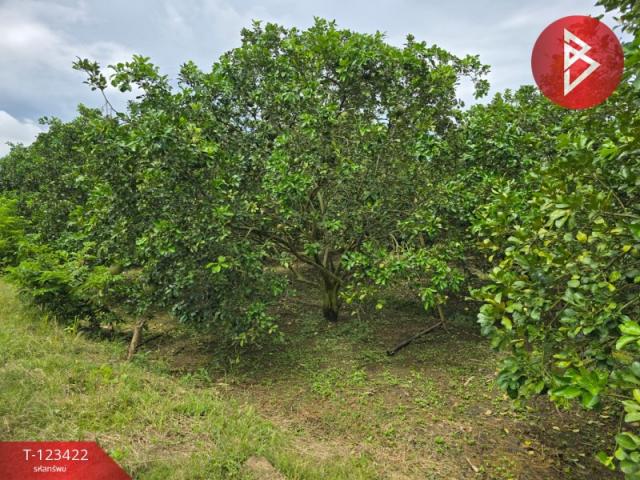 ��¾ԨԵ� �� The Best Property Agent